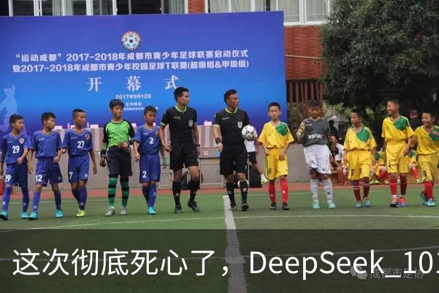 这次彻底死心了，DeepSeek 1017的价格比想象中还狠！